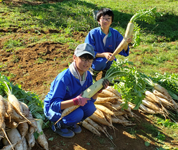 長野県　伊那市立長谷中学校　１５人の３年生のみなさん3