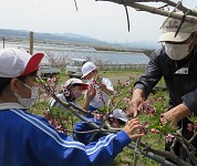 新潟県　刈羽村立刈羽小学校　６年生のみなさん4