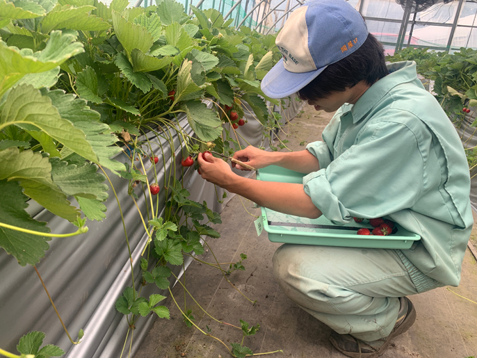 鳥取県　倉吉農業高校　生物科園芸コースのみなさん1