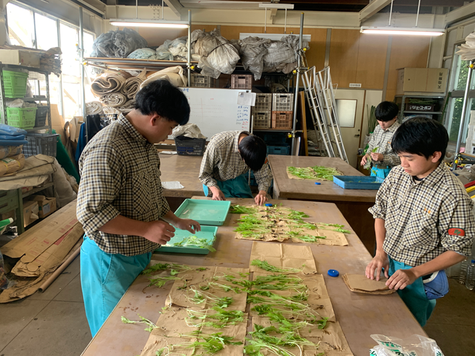 鳥取県　倉吉農業高校　生物科園芸コースのみなさん4