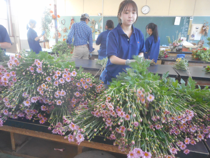 長野県　佐久平総合技術高校　農業科（生物サービス科植物活用コース）３年生のみなさん2