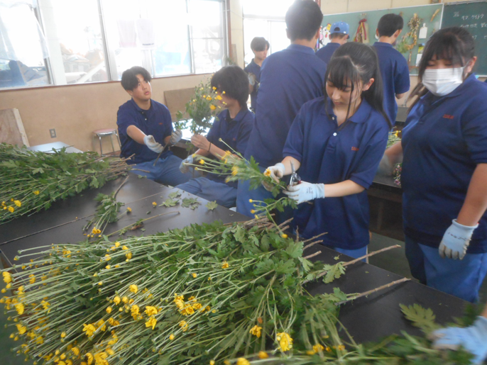 長野県　佐久平総合技術高校　農業科（生物サービス科植物活用コース）３年生のみなさん5
