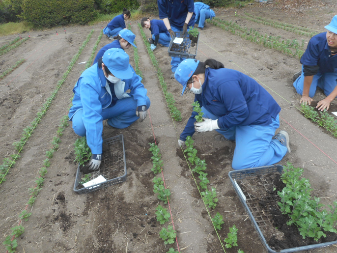 長野県　佐久平総合技術高校　農業科（生物サービス科植物活用コース）３年生のみなさん7