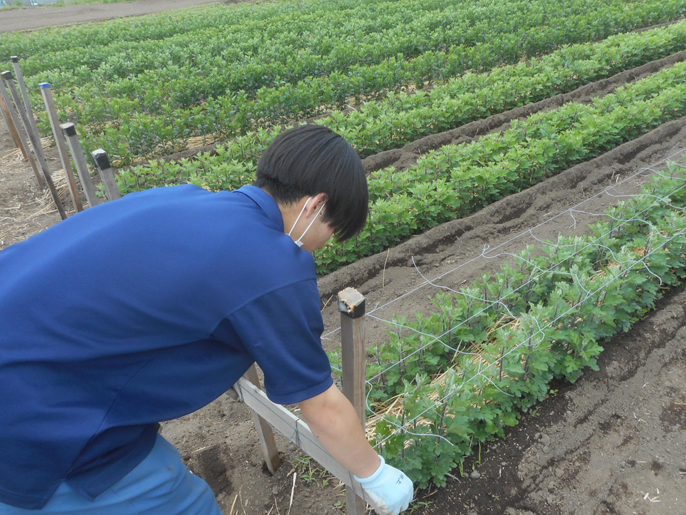 長野県　佐久平総合技術高校　農業科（生物サービス科植物活用コース）３年生のみなさん9
