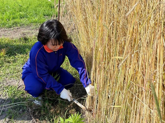 和歌山県　熊野高校　Ｋｕｍａｎｏサポーターズリーダー部のみなさん2