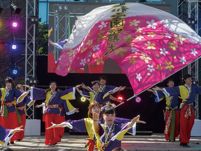 聖和学園短期大学の部活