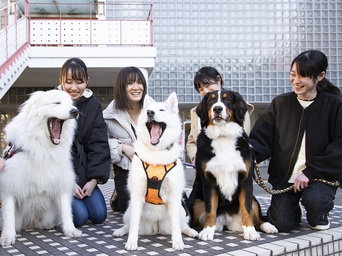 日本獣医生命科学大学のクラブ活動