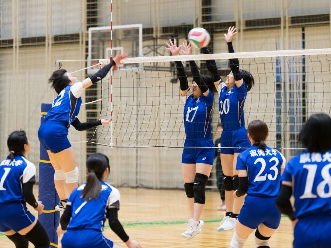 淑徳大学のcampusgallery