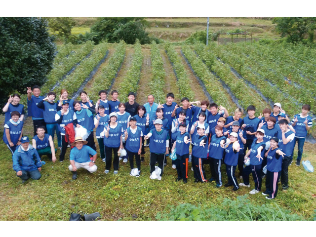 金城大学短期大学部の部活