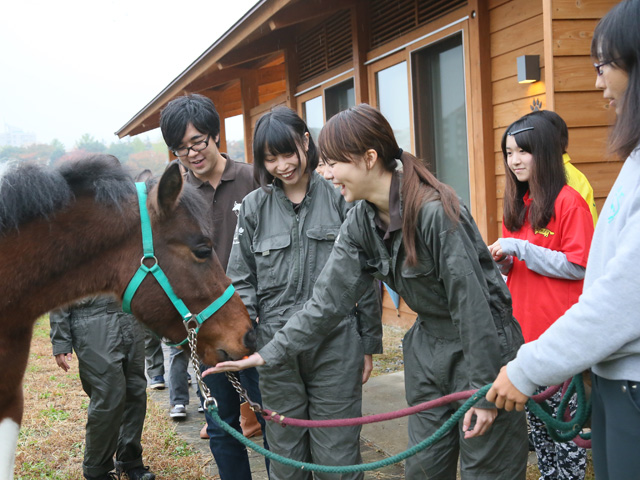 ヤマザキ動物看護大学