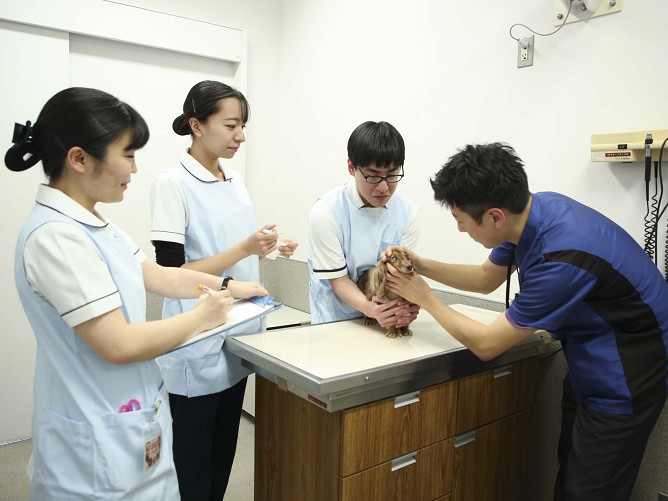 日本獣医生命科学大学の施設・環境