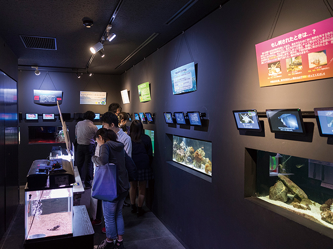 北里大学の施設・環境