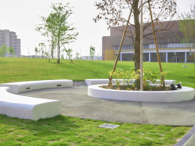 森と芝生の広場