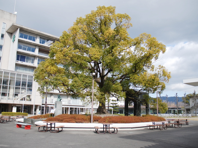 ■柿のある広場　　学内の随所にゆったりと話ができるスペースを設けています。