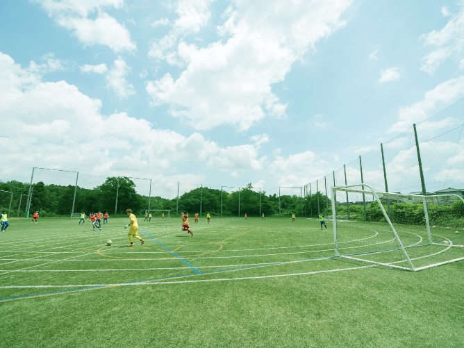 淑徳大学