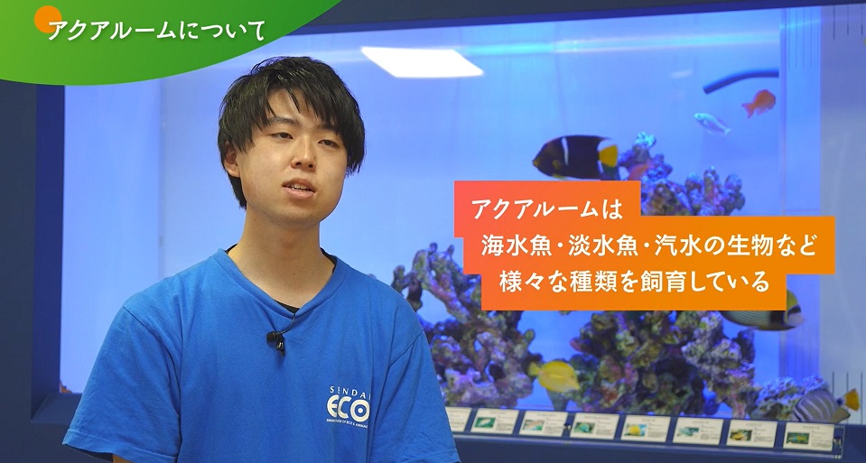 仙台ＥＣＯ動物海洋専門学校の紹介動画