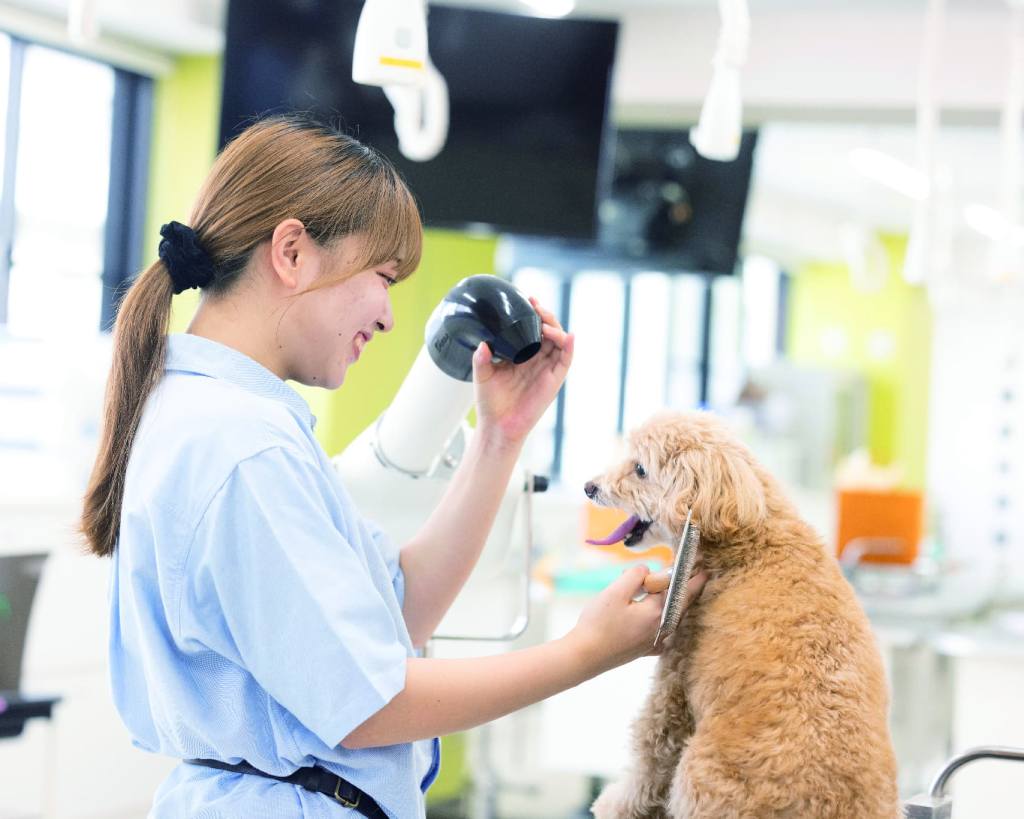 ペットトリマー体験