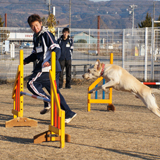 ドッグトレーナーコース