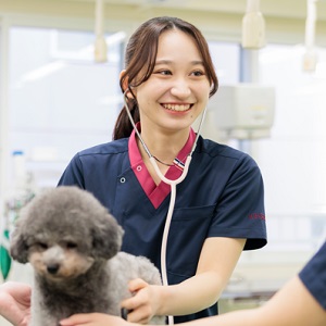 札幌デジタル＆どうぶつ・医療・観光専門学校のcampusgallery