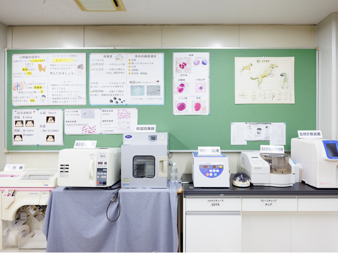 横浜動物専門学校のcampusgallery