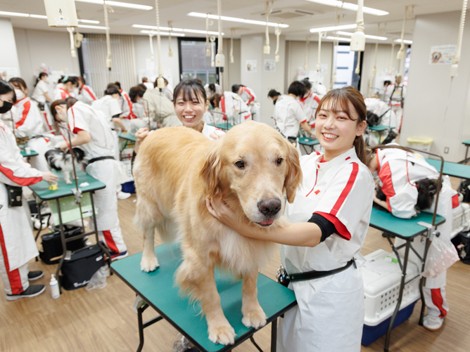 大阪動物専門学校天王寺校