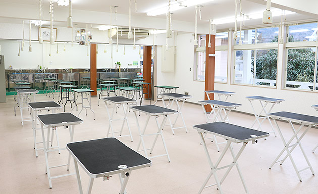 つくば国際ペット専門学校のオープンキャンパス