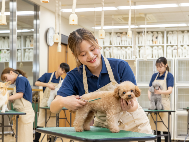 専門学校ルネサンス・ペット・アカデミーのcampusgallery