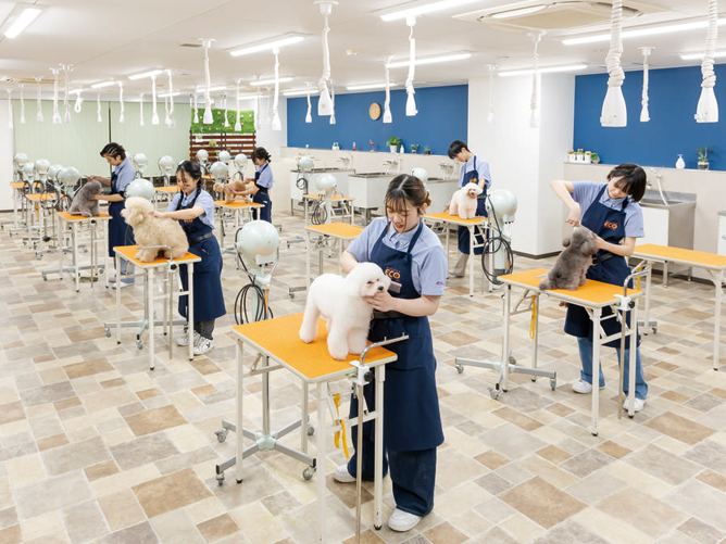 トリミング室：現場で活躍できるような設備が整っています。