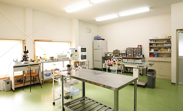 つくば国際ペット専門学校のオープンキャンパス