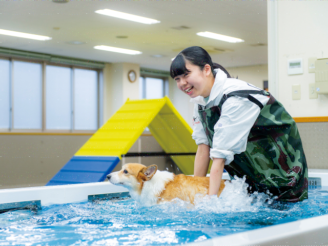 専門学校ルネサンス・ペット・アカデミーのcampusgallery