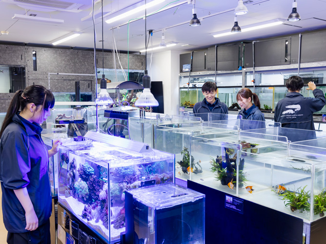 名古屋ＥＣＯ動物海洋専門学校のcampusgallery