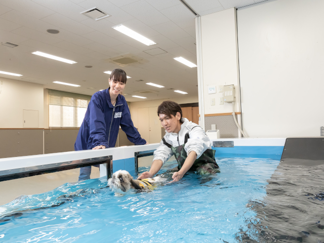 専門学校ルネサンス・ペット・アカデミーのcampusgallery