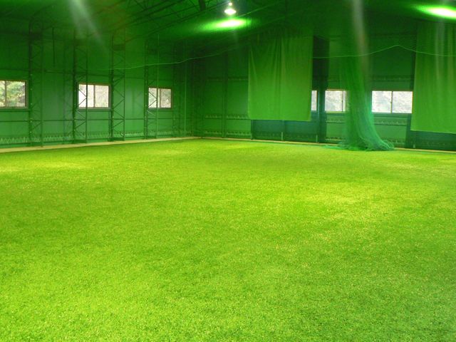 ルネス紅葉スポーツ柔整専門学校のcampusgallery