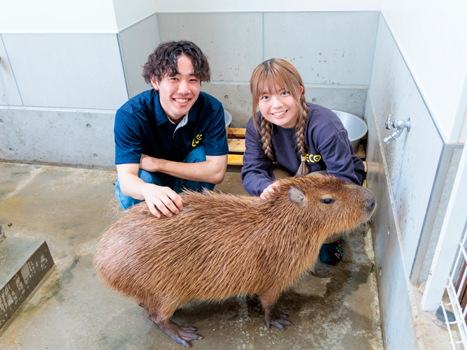 名古屋ＥＣＯ動物海洋専門学校のcampusgallery