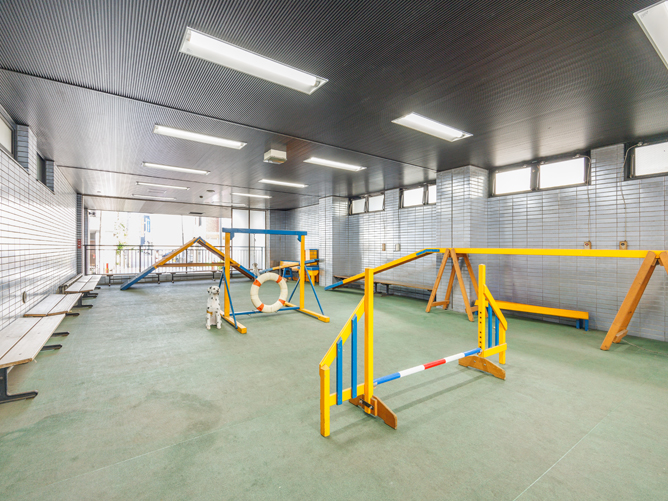 横浜動物専門学校のcampusgallery