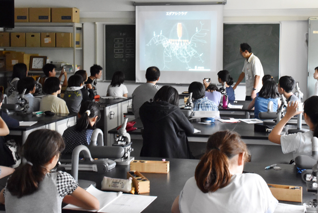 ひらめき☆ときめきサイエンス
～ようこそ大学の研究室へ～ＫＡＫＥＮＨＩ
私たちクラゲ研究隊2025 ─生命の始まりと不思議な光を観察しよう─3