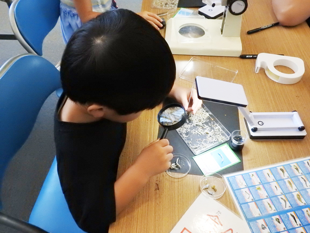 夏だ！ワクワク科学館まつり2025
（主催：Ａ＆Ａ下水道科学館（公益財団法人 愛知水と緑の公社／アクティオ株式会社））3