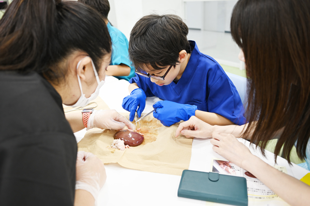 ひらめき☆ときめきサイエンス
じん臓すごいぜ！人工じん臓で学ぶ
じん臓の働きとろ過の仕組み2